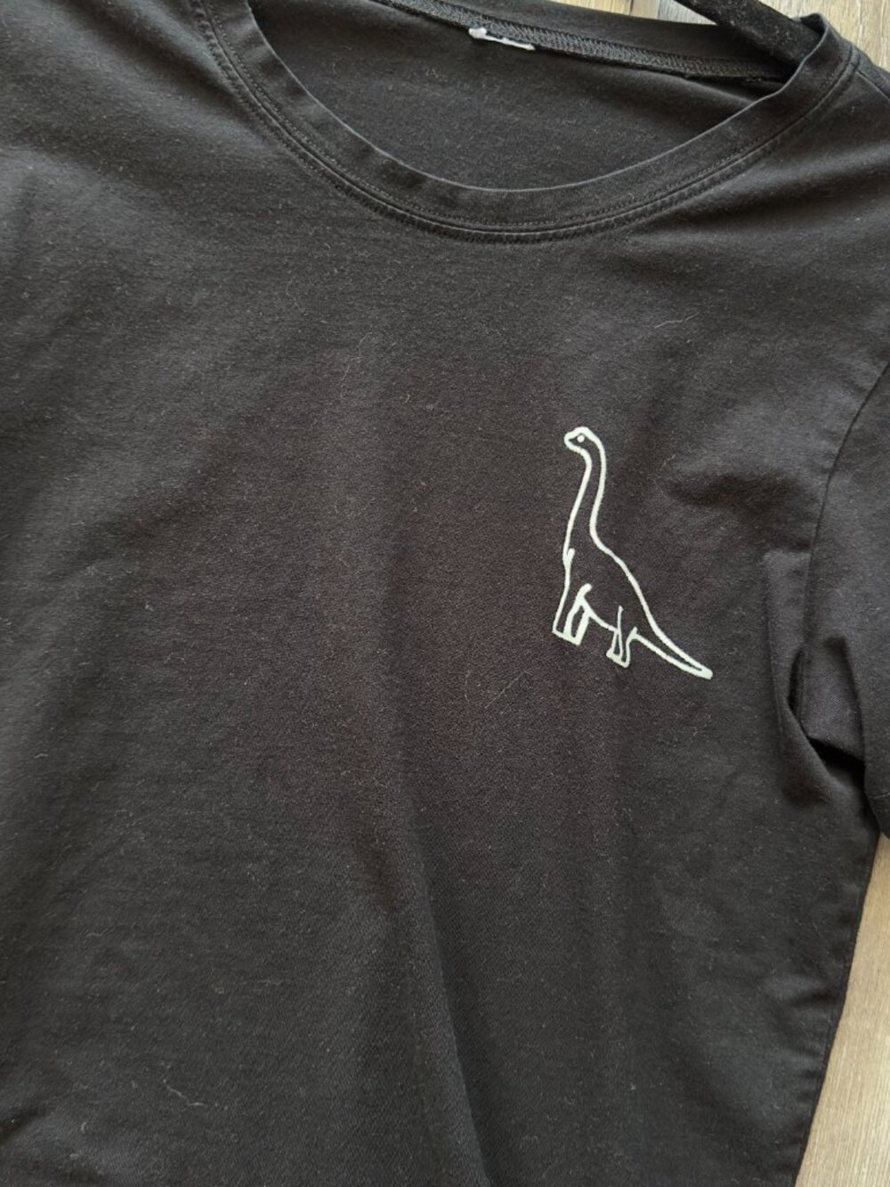 Black Dinosaur Graphic Tee | Minimal Graphic | Small